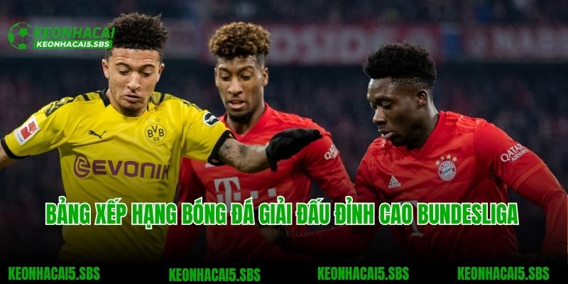 Bảng Xếp Hạng Bóng Đá 4 Bảng xếp hạng bóng đá giải đấu đỉnh cao Bundesliga