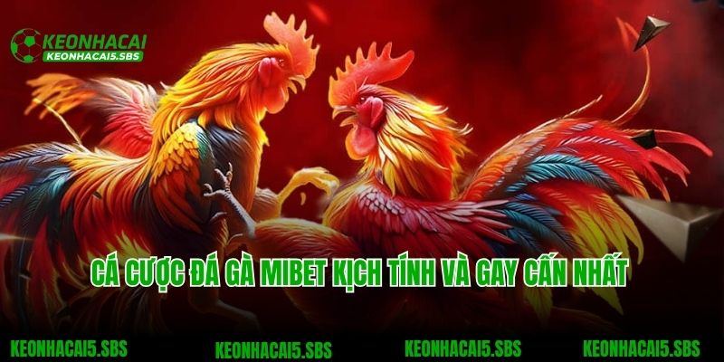 Mibet - Thương Hiệu Cá Cược Đạt Chuẩn Quốc Tế Năm 2025 6 Cá cược đá gà Mibet kịch tính và gay cấn nhất