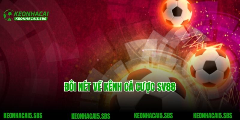 Sv88 - Trang Cá Cược Thể Thao Đình Đám Phong Cách Hoàng Gia Anh 2 Đôi nét về kênh cá cược SV88