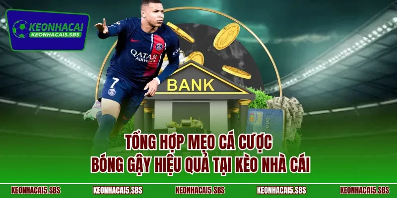 Tổng hợp mẹo cá cược bóng gậy hiệu quả tại Kèo nhà cái